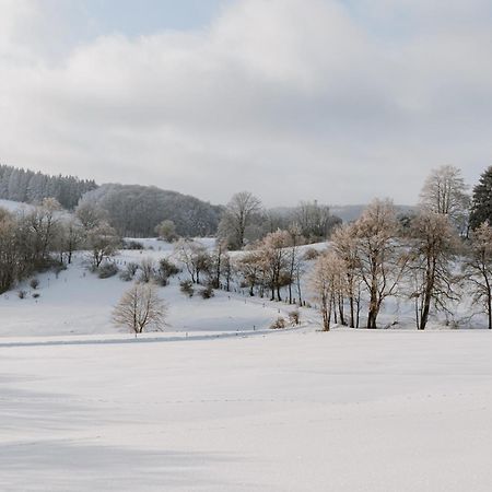 Jagdhaus In Der Rhoen In Voelliger Alleinlage Gersfeld Bagian luar foto