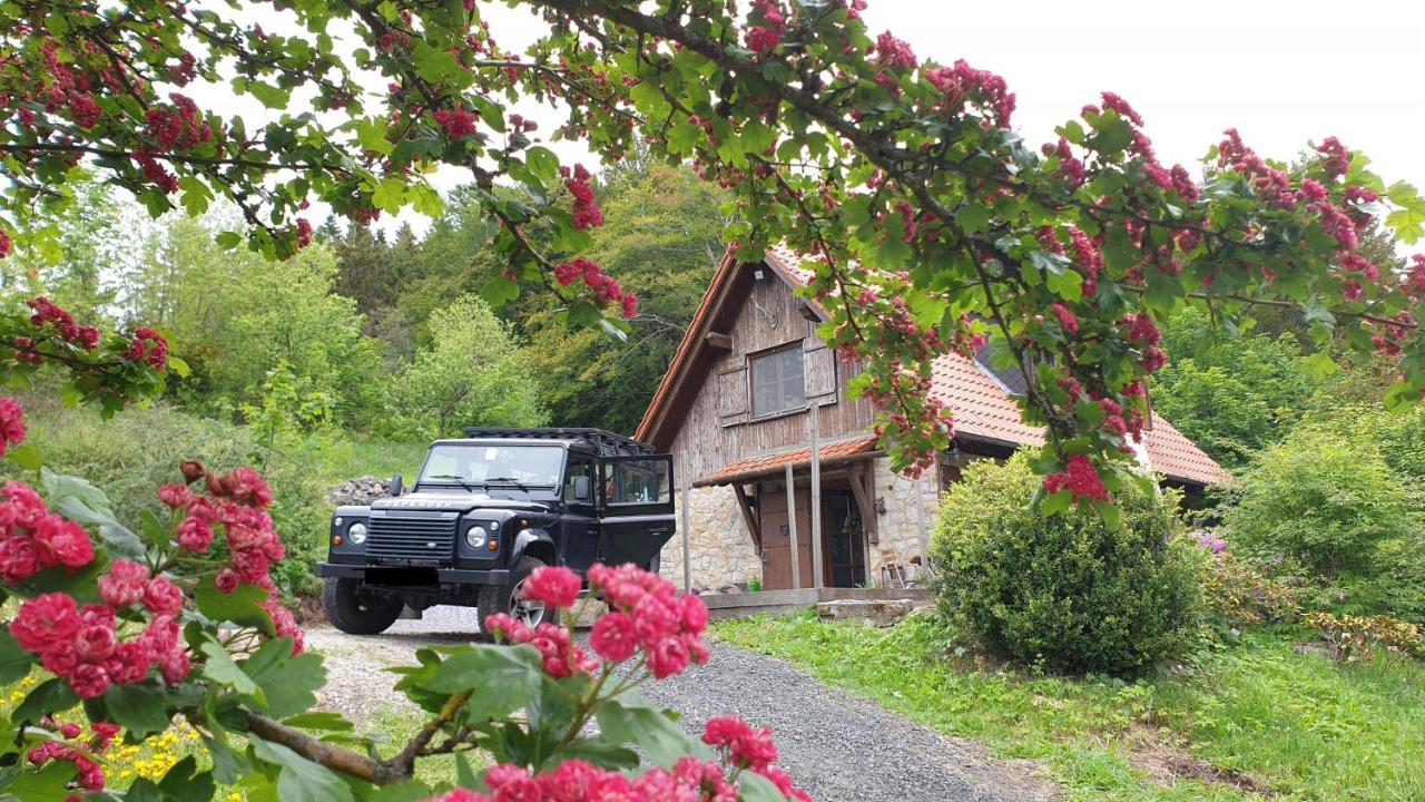 Jagdhaus In Der Rhoen In Voelliger Alleinlage Gersfeld Bagian luar foto