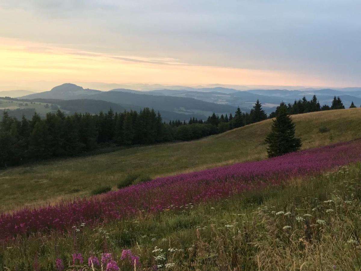 Jagdhaus In Der Rhoen In Voelliger Alleinlage Gersfeld Bagian luar foto