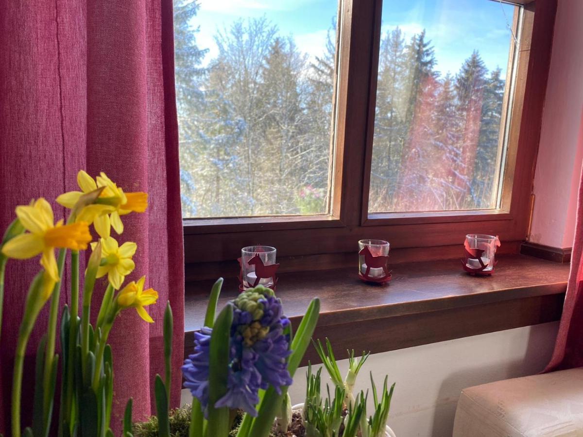 Jagdhaus In Der Rhoen In Voelliger Alleinlage Gersfeld Bagian luar foto