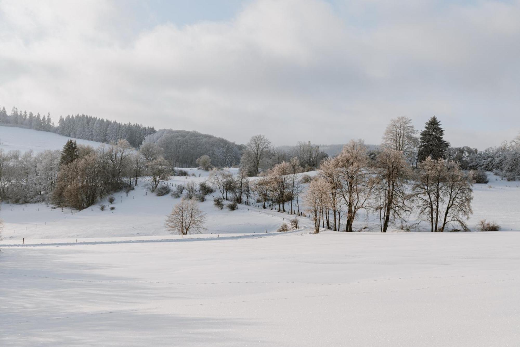 Jagdhaus In Der Rhoen In Voelliger Alleinlage Gersfeld Bagian luar foto